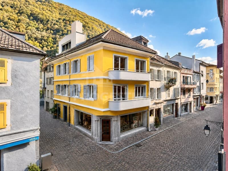 IMMEUBLE DE RENDEMENT AU COEUR DE LA VILLE (2)