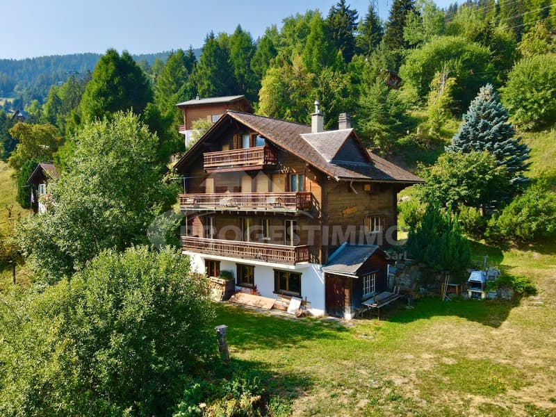 MAGNIFIQUE DUPLEX 6.5 PIÈCES SUR LES PISTES (8)