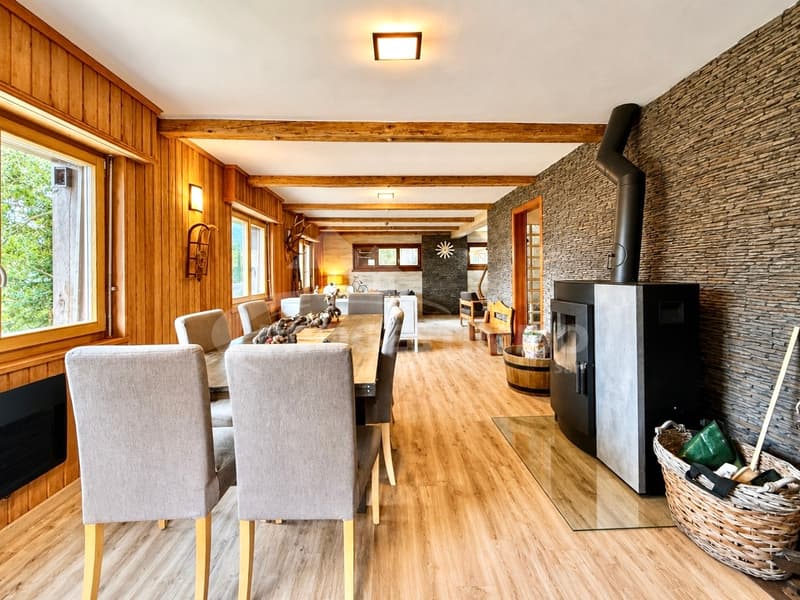 MAGNIFIQUE DUPLEX 6.5 PIÈCES SUR LES PISTES (2)