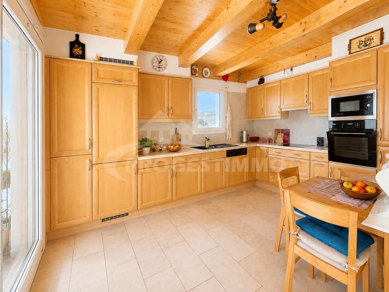 UN ATTIQUE D'EXCEPTION AVEC DEUX TERRASSES & JACUZZI (3)