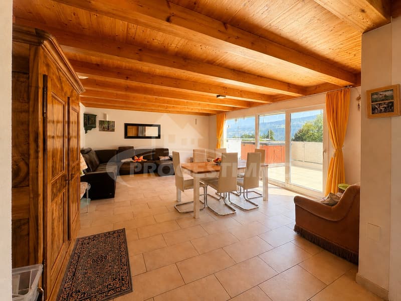 UN ATTIQUE D'EXCEPTION AVEC DEUX TERRASSES & JACUZZI (1)