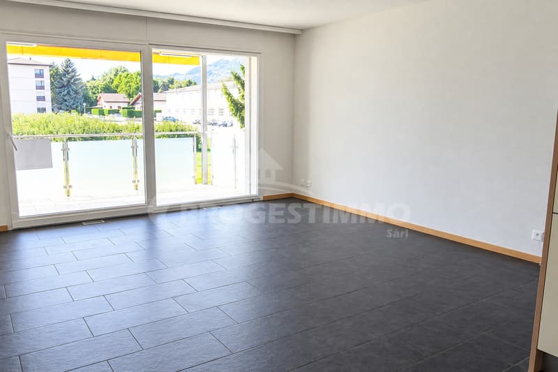 BEL APPARTEMENT 3.5 PIÈCES (5)