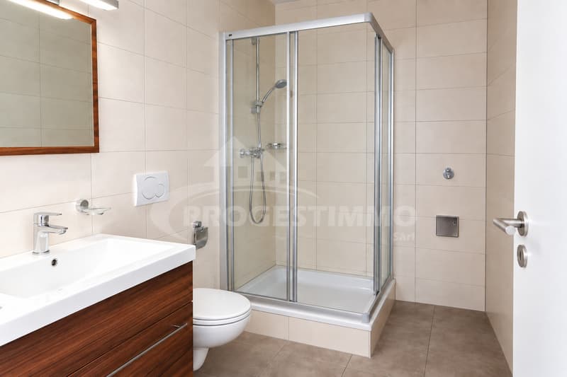BEL APPARTEMENT 3.5 PIÈCES (7)