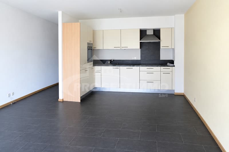BEL APPARTEMENT 3.5 PIÈCES (3)