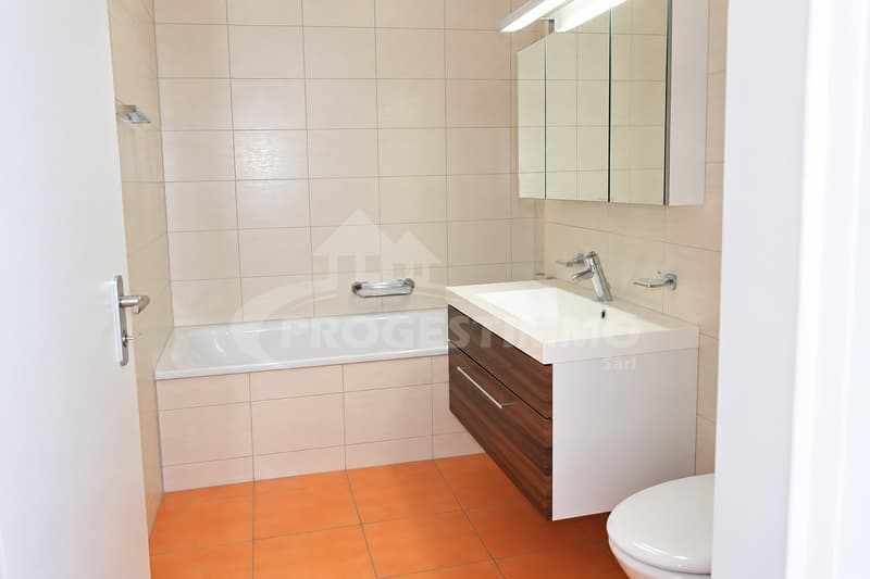 BEL APPARTEMENT 3.5 PIÈCES (8)