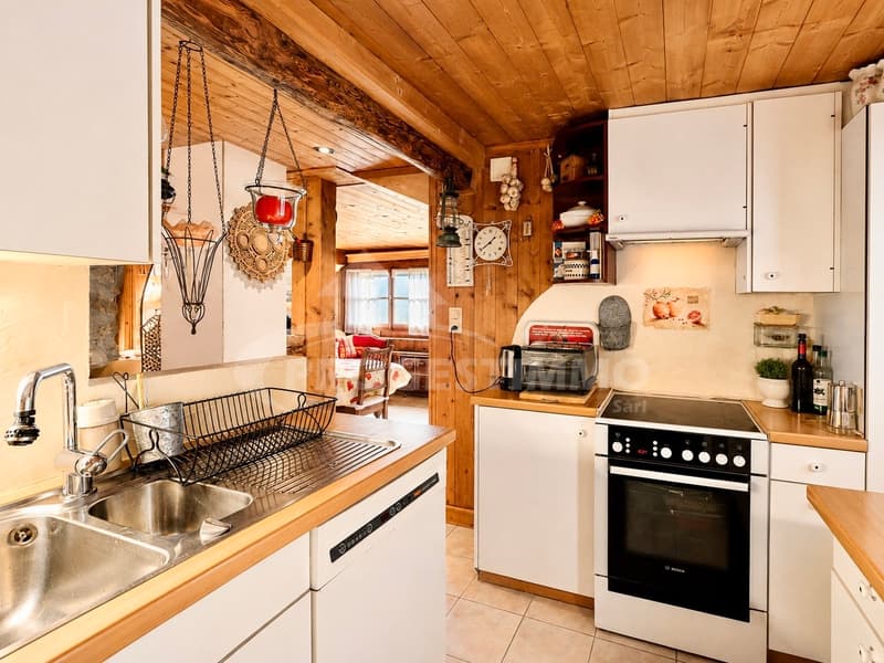 APPARTEMENT A RENOVER AVEC VUE SUR LE CATOGNE (4)