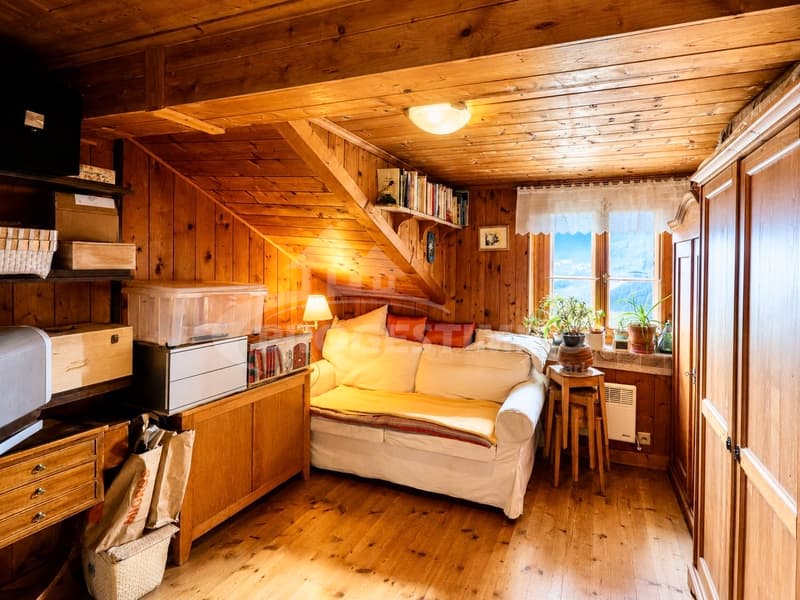 APPARTEMENT A RENOVER AVEC VUE SUR LE CATOGNE (3)