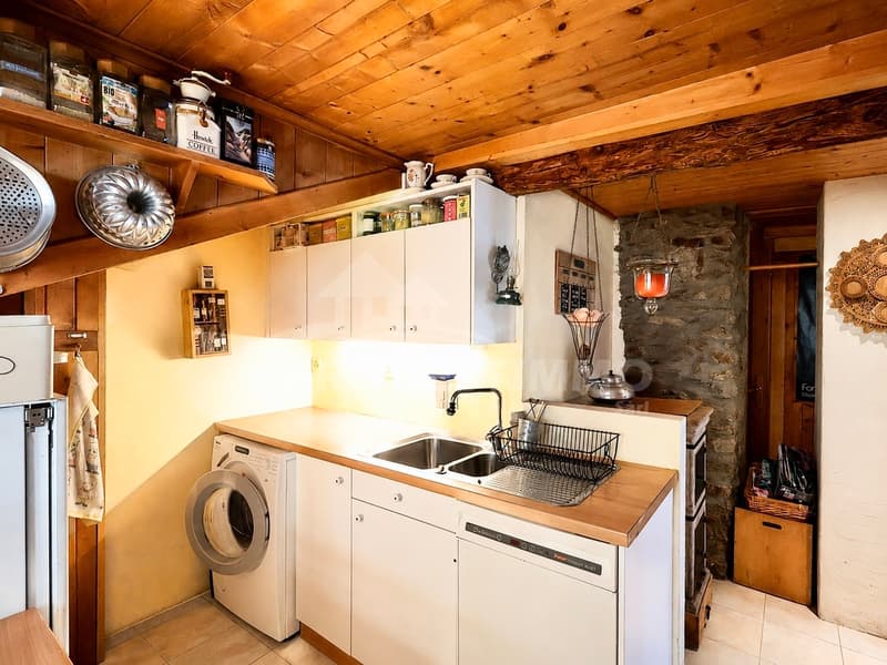 APPARTEMENT A RENOVER AVEC VUE SUR LE CATOGNE (5)