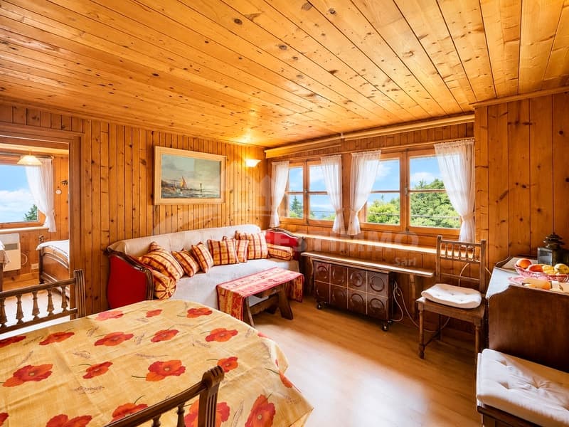 APPARTEMENT A RENOVER AVEC VUE SUR LE CATOGNE (1)