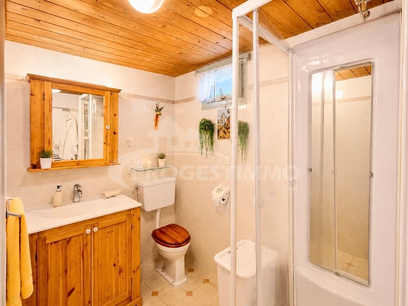APPARTEMENT A RENOVER AVEC VUE SUR LE CATOGNE (8)