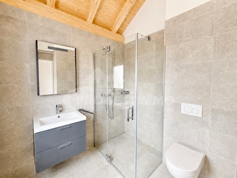 APPARTEMENT 5,5 PIÈCES EN CONSTRUCTION (8)
