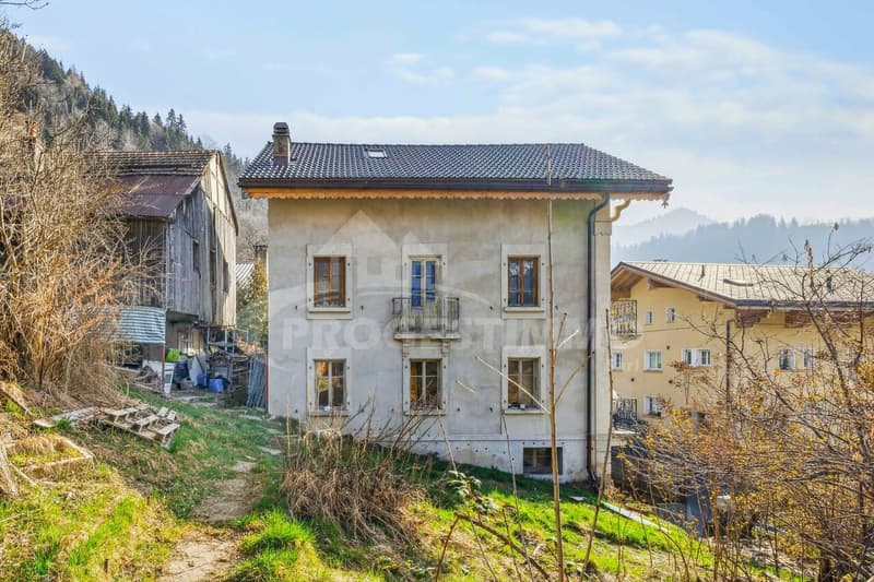 EXCEPTIONNEL - GRANDE MAISON A RENOVER (10)
