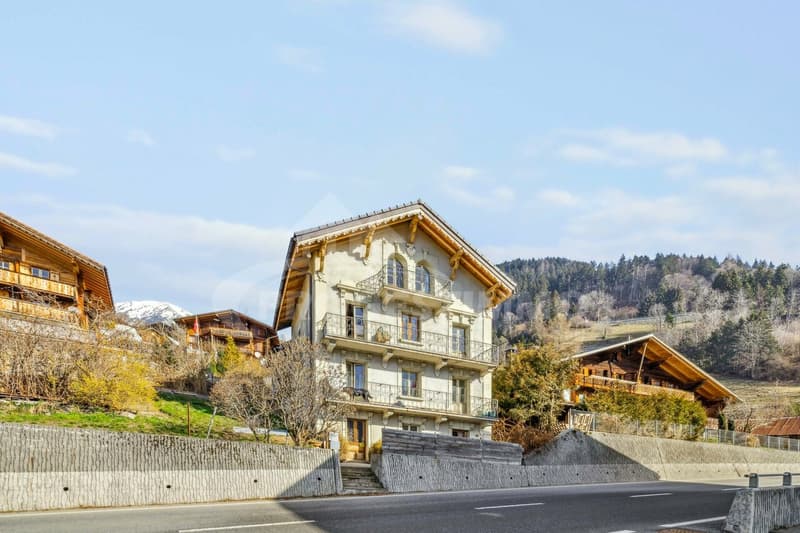EXCEPTIONNEL - GRANDE MAISON A RENOVER (1)
