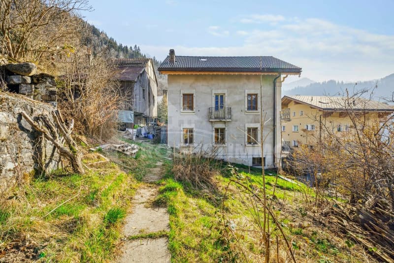 EXCEPTIONNEL - GRANDE MAISON A RENOVER (2)