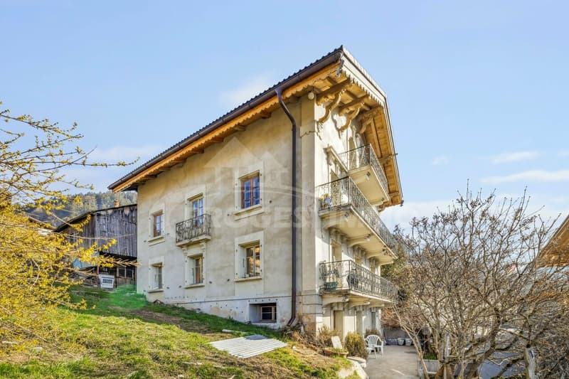 EXCEPTIONNEL - GRANDE MAISON A RENOVER (7)