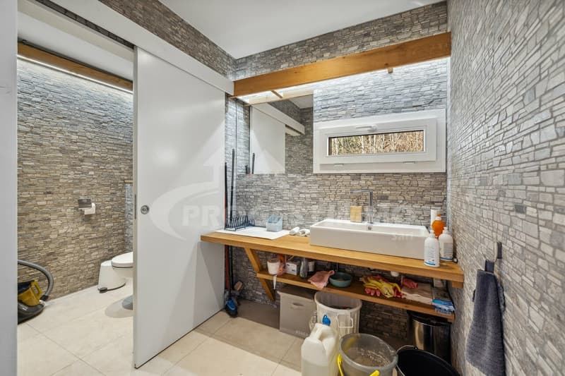 TRES BELLE OPPORTUNITE AVEC DE BELLES SURFACES (7)