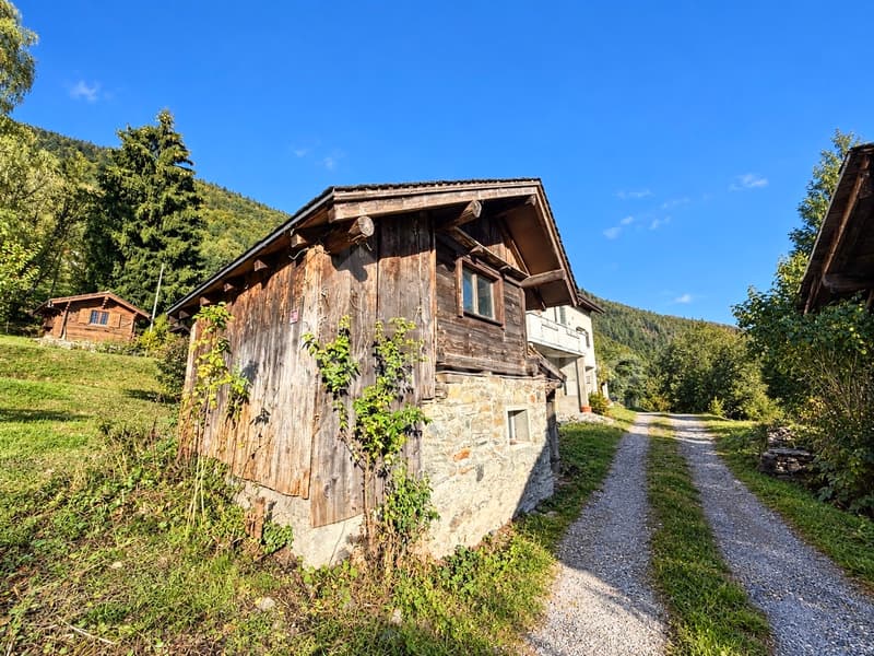 MAISON DE 2 APPARTEMENTS À RÉNOVER (13)