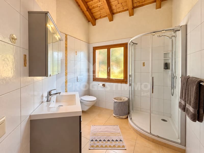 MAISON INDIVIDUELLE DE 5,5 PIÈCES AU COEUR DES ALPES (13)