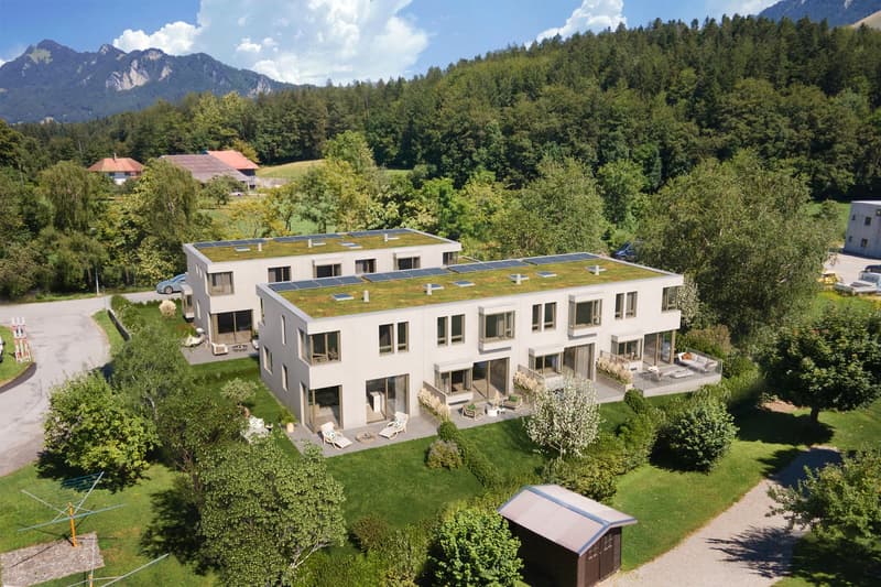 Villa contemporaine neuve en pignon avec jardin - disponible de suite (14)