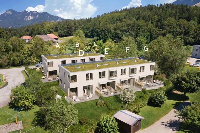 Villa contemporaine neuve en pignon avec jardin - disponible de suite (12)