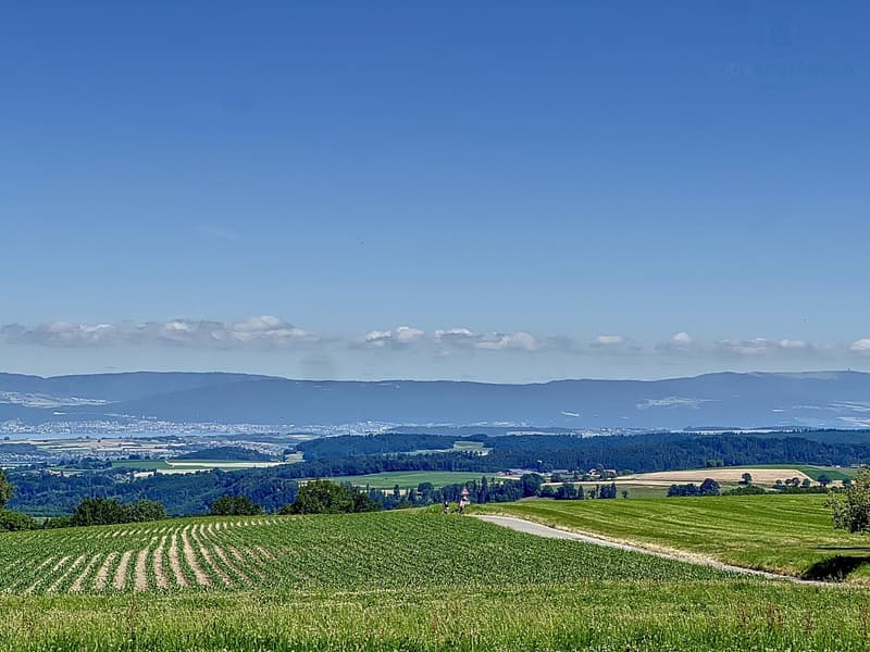 Belle propriété proche de Fribourg en bordure de terrains agricoles (1)