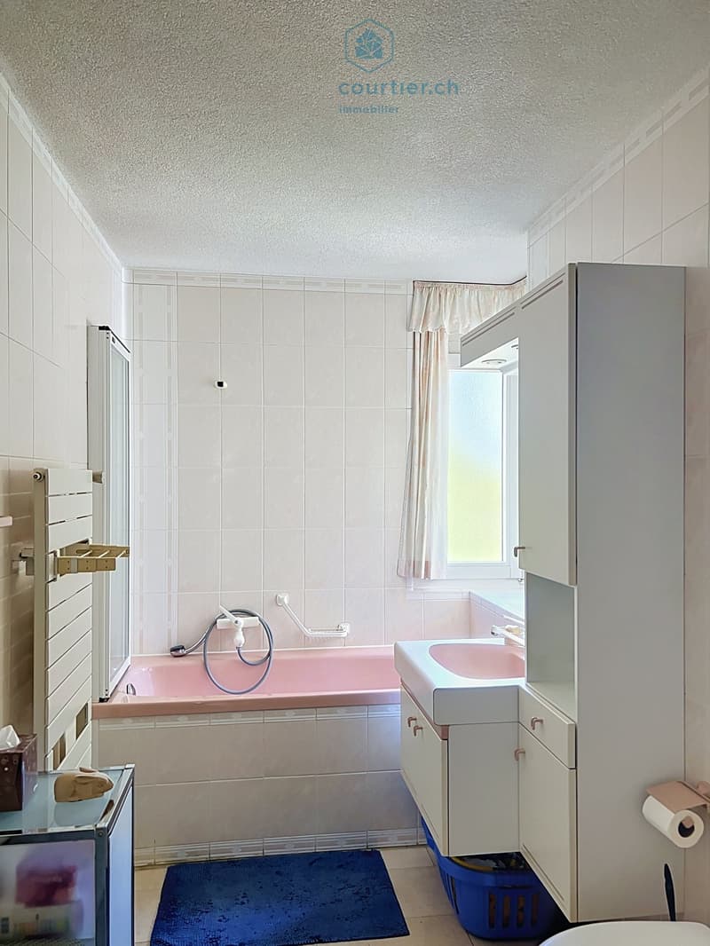 Appartement, terrasse et jardin, au calme en ville, proche HFR et gare (14)