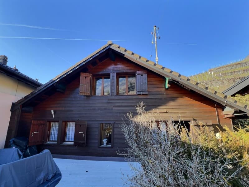 Maison Villageoise au coeur des vignes (18)