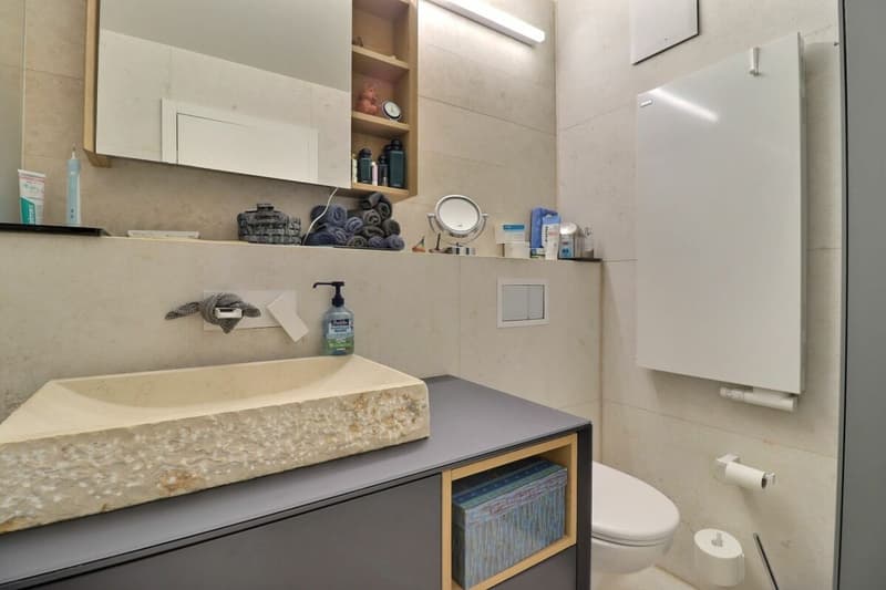 Charmant appartement de 3.5 pièces + mezzanine (14)