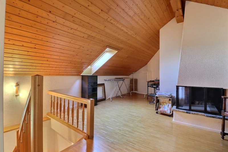 Charmant appartement de 3.5 pièces + mezzanine (11)