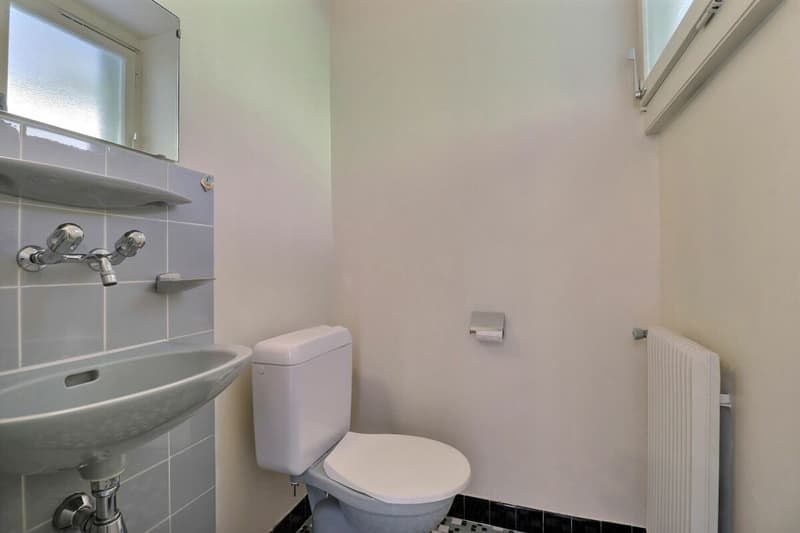 Duplex de 3.5 pièces + bureau avec fort potentiel et vue imprenable (16)