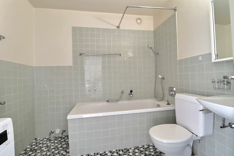 Duplex de 3.5 pièces + bureau avec fort potentiel et vue imprenable (15)