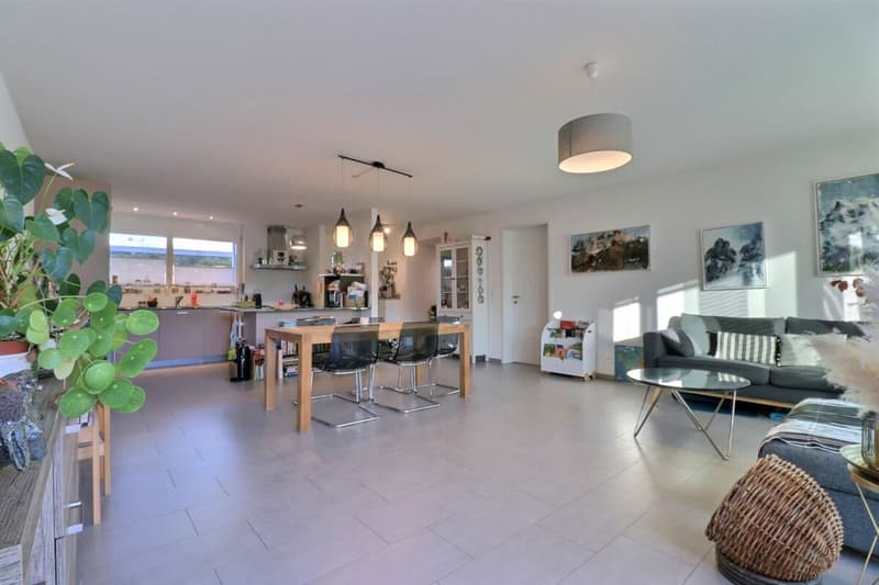 Spacieux appartement de 5.5 pièces (5)