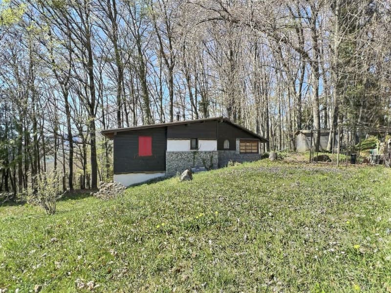 Chalet avec terrains forestiers et agricoles (5)