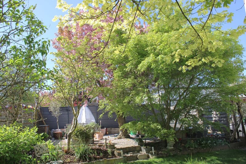 Jardin printemps
