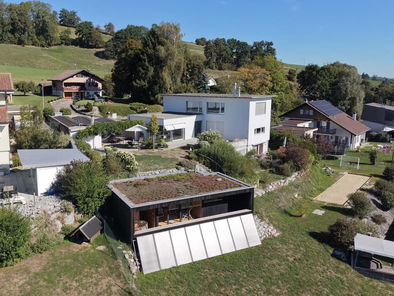 Propriété familiale avec appartement indépendant et espace wellness (1)