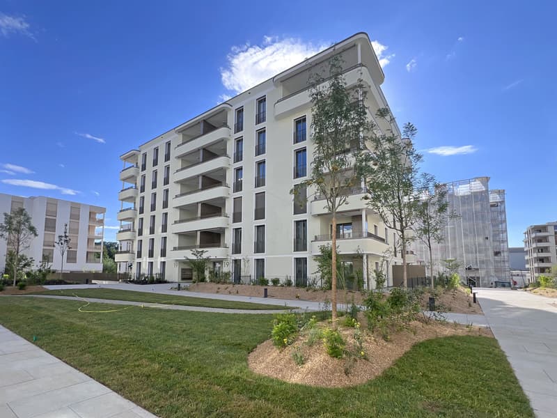 Immeuble - Rue des Frère-Lumière 19a-19b