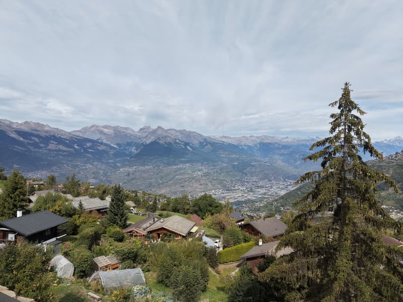 Magnifique chalet 7,5 pièces avec vue imprenable (1)