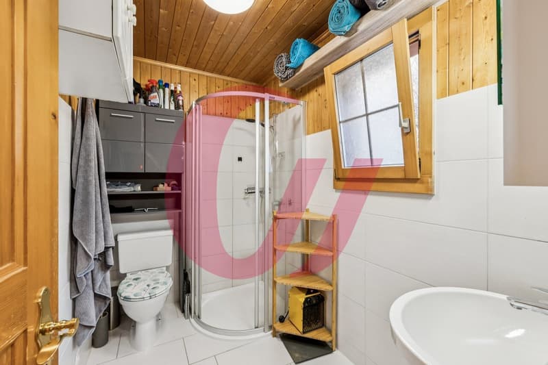 Chalet de 4.5 pièces à Crésuz avec vue panoramique ! (11)