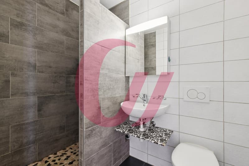 Appartement de 3.5 pièces au coeur de Broc ! (7)