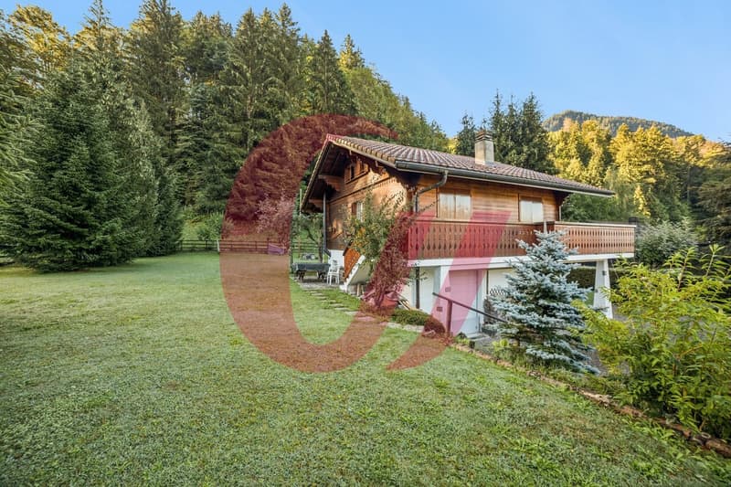 Charmey - chalet typique de 5.5 pièces dans un cadre privilégié (3)