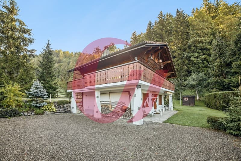 Charmey - chalet typique de 5.5 pièces dans un cadre privilégié (1)