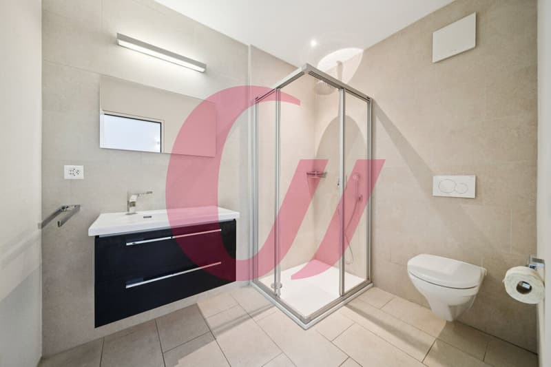 Maison de 5.5 pièces au Pâquier ! (8)