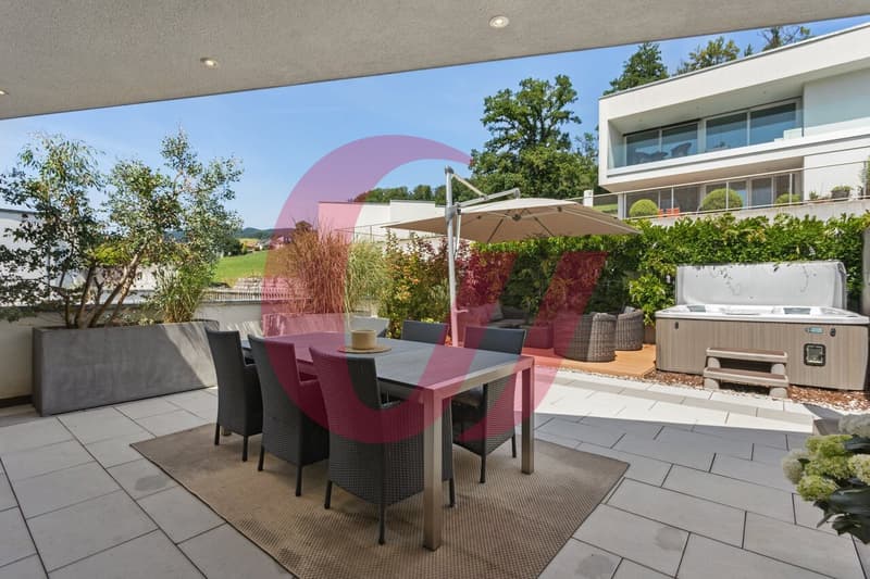 Magnifique appartement de 4.5 pièces avec vue imprenable ! (3)