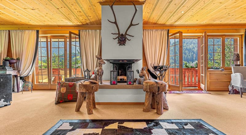 Magnifique appartement (2)