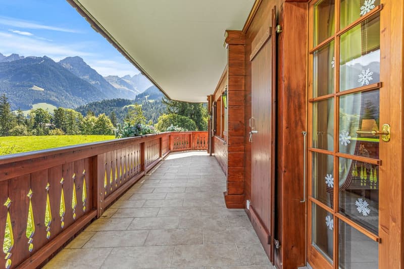 Magnifique appartement (7)