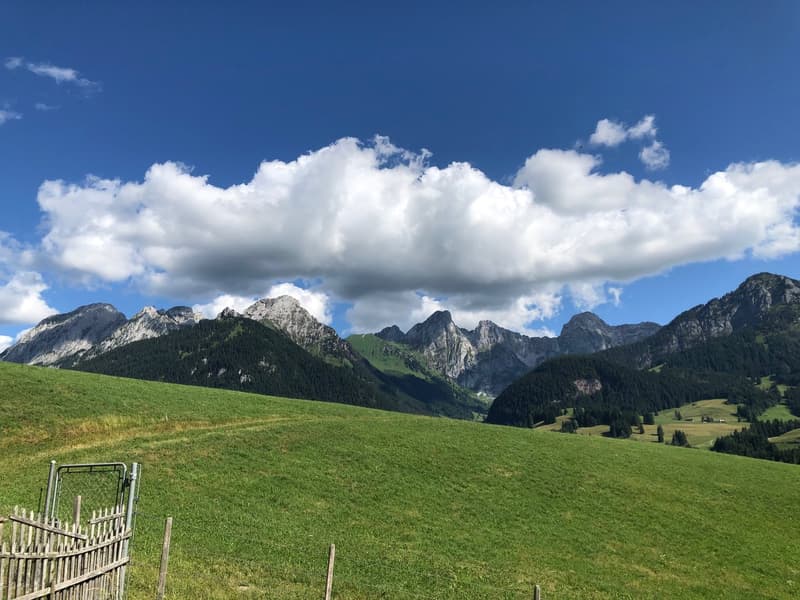 The image shows a picturesque mountain landscape with lush green meadows in the foreground and towering snow-capped peaks in the background. The sky is filled with fluffy white clouds, creating a serene and tranquil atmosphere. A wooden fence can be seen
