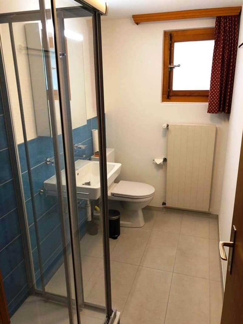 Bathroom with glass shower enclosure, toilet, sink, and radiator. Wooden window frame and curtain visible.