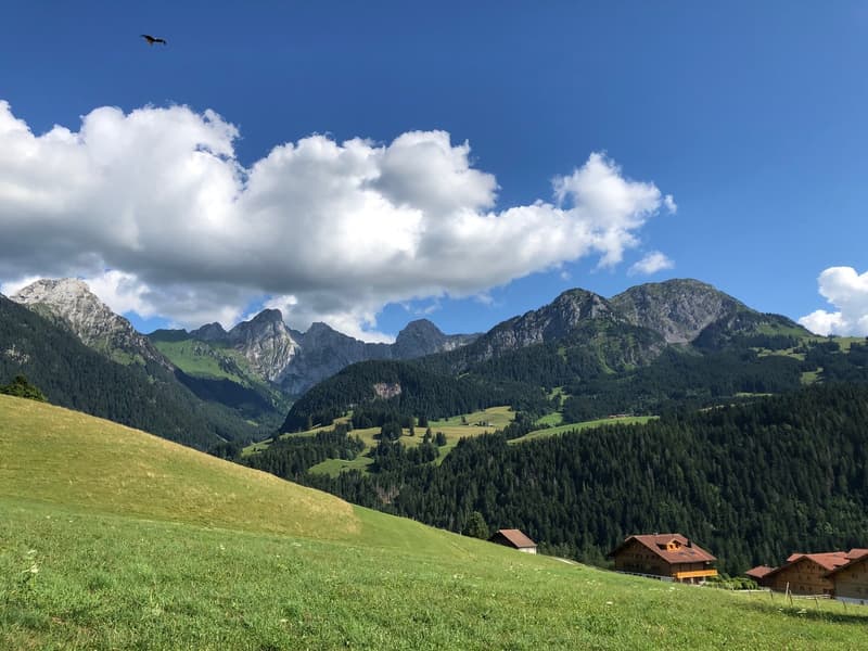 Chalet spacieux - situation exceptionnelle et rare à 15 min. de Gstaad (19)
