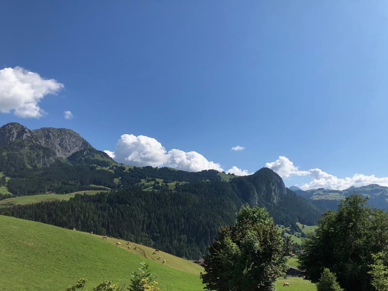 Chalet spacieux - situation exceptionnelle et rare à 15 min. de Gstaad (18)