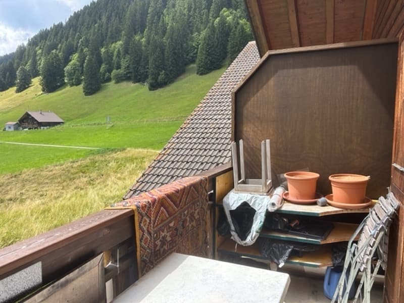 Les Trois Sapins, à l'entrée des Mosses : appartement duplex à l'étage (5)
